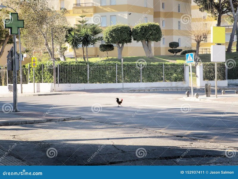 Descubre la Emoción de Jugar Chicken Road en España en Línea - overview Descubre la Emoción de Jugar Chicken Road en España en Línea - overview